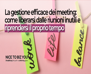 webinar-nicetobizyou